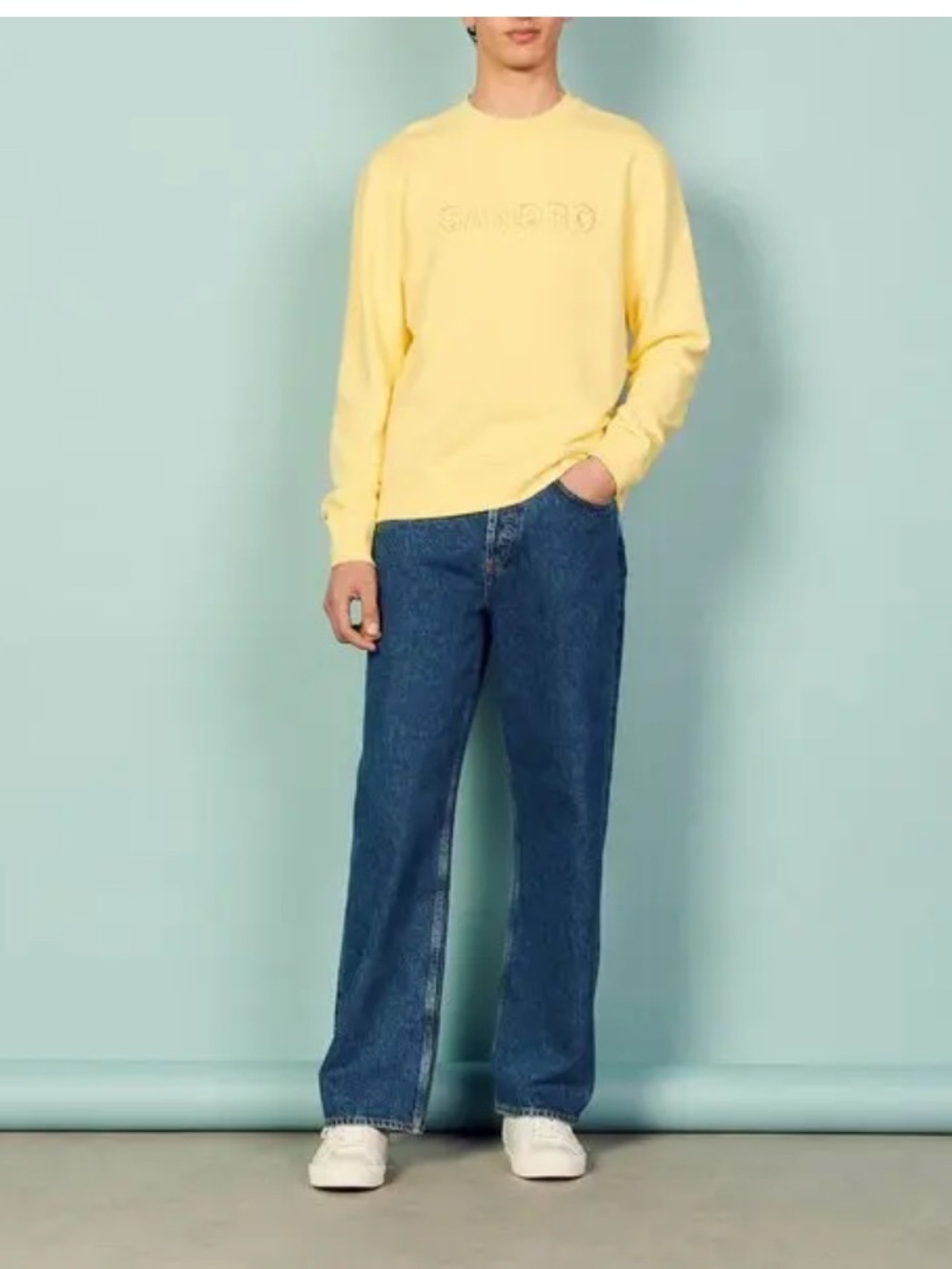 NWT SANDRO 
Embroidered Sweatshirt